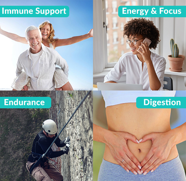 Immune Support, Energy and Focus, Endurance, Digestive Support