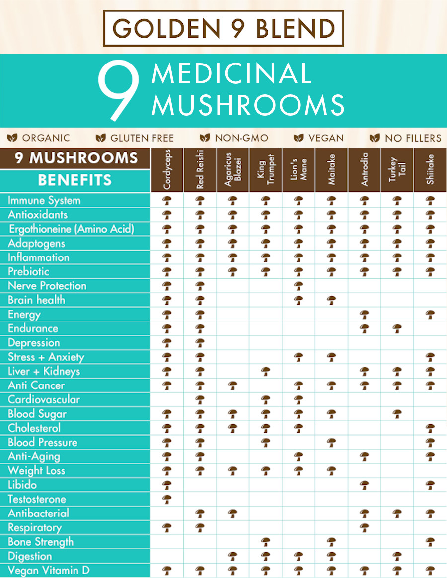 Medicinal Mushroom Chart