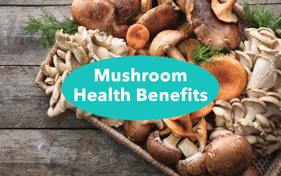 Top 10 Medicinal Mushrooms