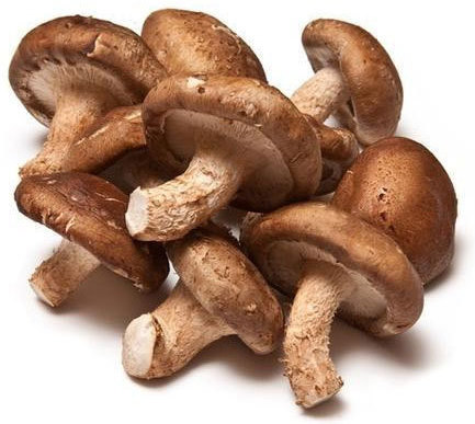 Shiitake Mushroom