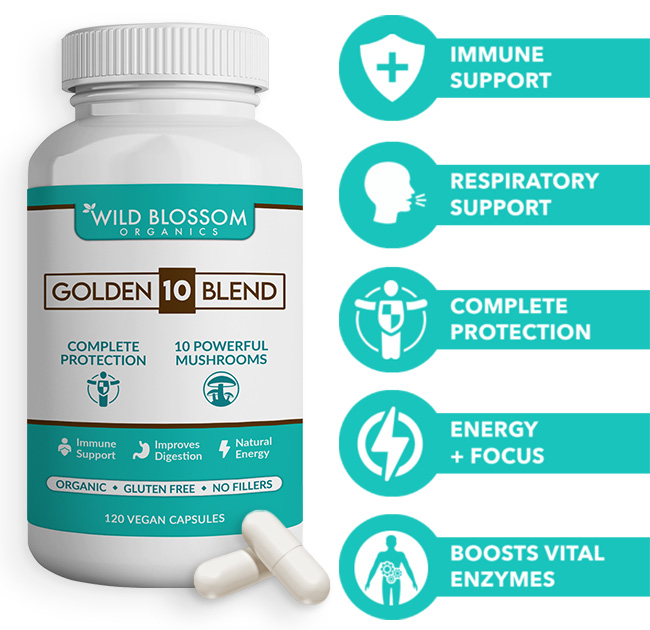 Wild Blossom Organic 10 powerful food mushrooms. Immune support, respiratory support, complete protection, energy and focus, boosts vital enzymes
